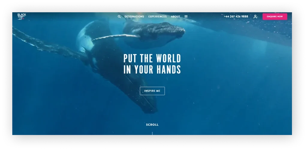 Black Tomato website design example